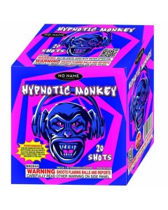 NN2044-hynotic-monkey